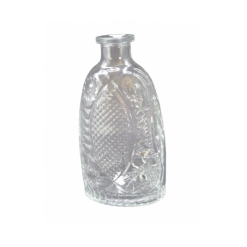Cloe Clear